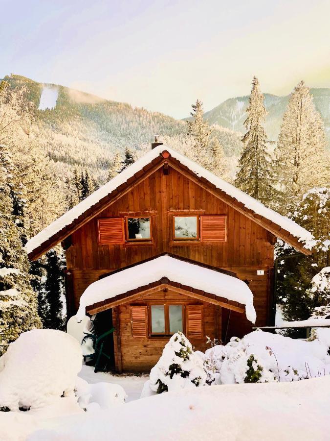 Blockhaus Semmering Apartment Steinhaus am Semmering Exterior photo